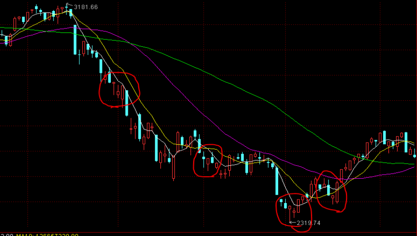 “教育金+养老社区”双核驱动,泰盈人生“终身”现金流守护爱的承诺